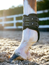 LeMieux Exo-Flex® Fetlock Spare Strap Set